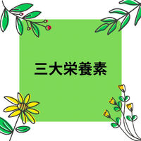 日々の活動や営業に関する情報等を更新