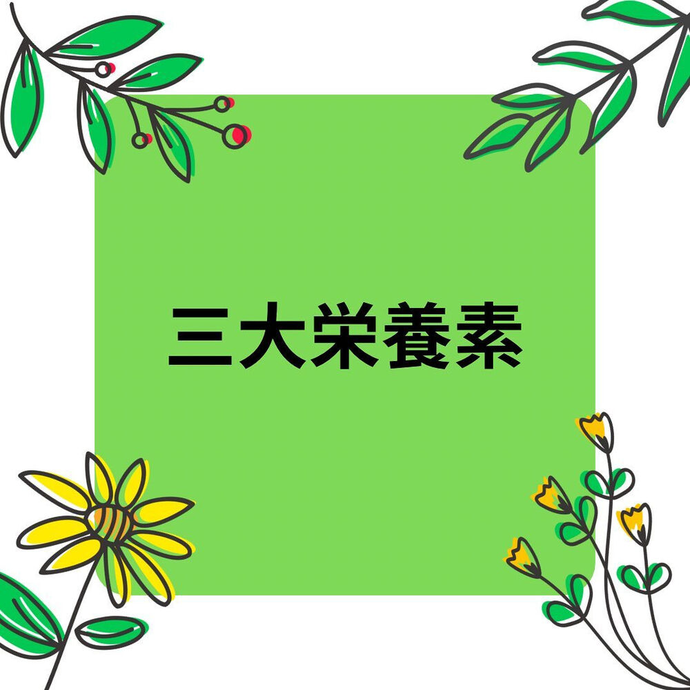 日々の活動や営業に関する情報等を更新